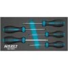 Hazet Schraubendreher Satz HEXAnamic, Tamper Resistant TORX Profil, T10 H - T30 H, Anzahl Werkzeuge: 5