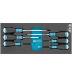 Hazet Schraubendreher Satz, Schlitz Profil, Kreuzschlitz Profil PH, Anzahl Werkzeuge: 6, Art.Nr. 163-522/6