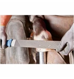 PFERD Hufhobel-Feilenhefte FH 6/1 110 Mm, Für Flache Und Halbrunde Feilen, Feilenlänge 350 Mm -Heimwerkzeuge heft 1591459 czm